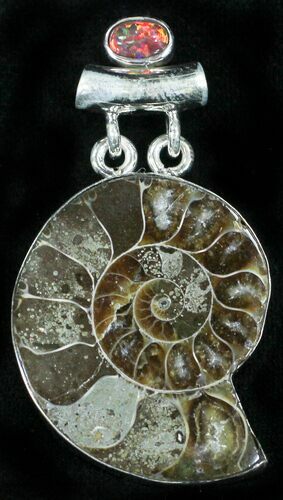Fossil Ammonite Pendant - Sterling Silver #8272